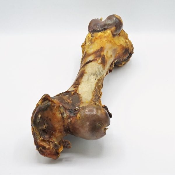 Dino XXL